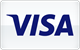 Visa card payment accepted at SpinORhino Casino